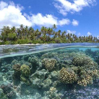 CoralReef_FrenchPolynesia-1024x681